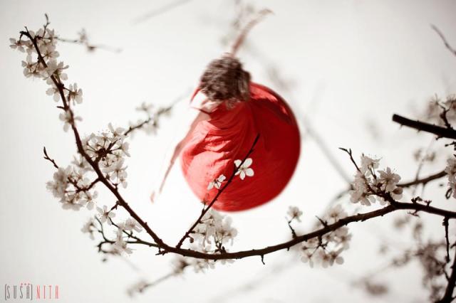 539840_10151589920776392_1826616990_n