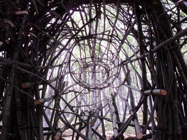 1400664_462480887201312_1699877025_o