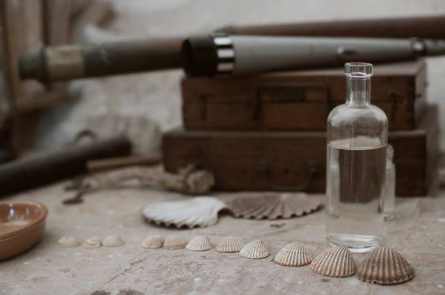 11822902_10153589138906392_2064973099108642201_o