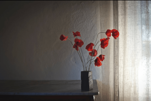 Schermata 2020-05-20 alle 17.44.10