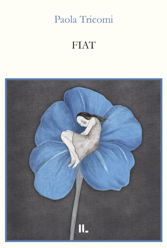 Schermata 2024-11-16 alle 12.05.47